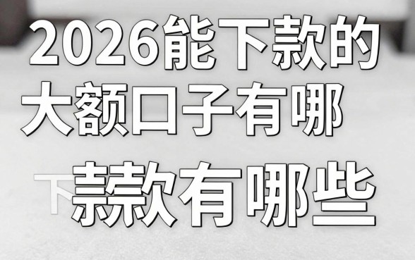 2026能下款的大额口子有哪些，2026年大额贷款容易下款的平台推荐