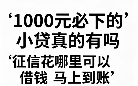 1000元必下的小贷真的有吗，征信花哪里可以借钱马上到账