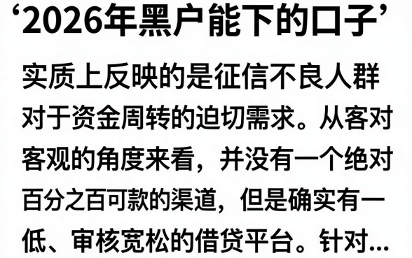 2026年黑户能下的口子有哪些，黑户哪里可以借到钱
