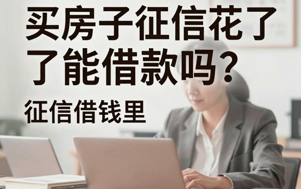 买房子征信花了能借款吗？征信花哪里可以借钱急用