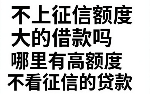 不上征信额度大的借款吗，哪里有高额度不看征信的贷款