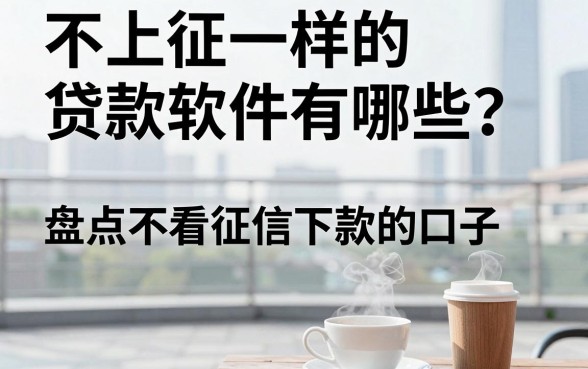 不上征一样的贷款软件有哪些?盘点不看征信能下款的口子