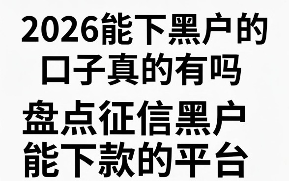 2026能下黑户的口子真的有吗，盘点征信黑户能下款的平台