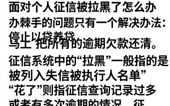 个人征信拉黑花了怎么办?还能恢复吗?