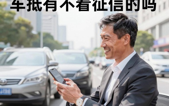 车抵有不看征信的吗,征信花可以做车辆抵押贷款吗