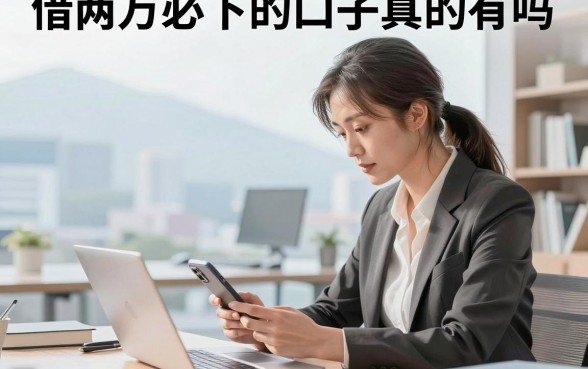 借两万必下的口子真的有吗,征信花哪里可以借到钱急用