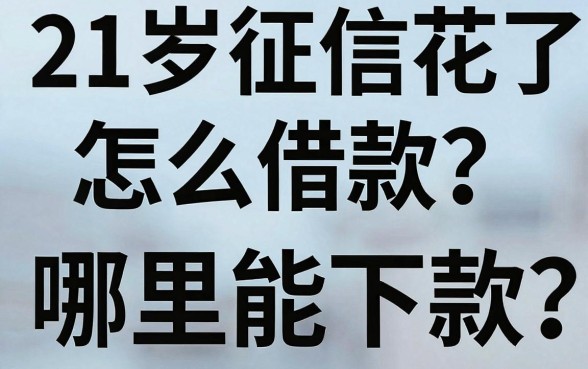 21岁征信花了怎么借款?哪里能下款?