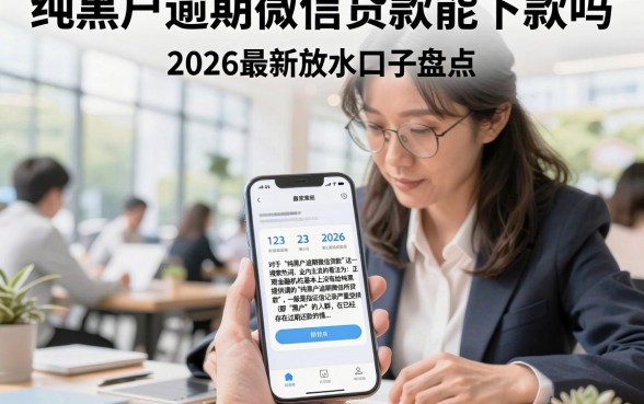 纯黑户逾期微信贷款能下款吗,2026最新放水口子盘点