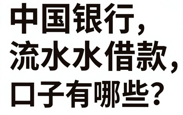 中国银行流水借款口子有哪些？中国银行流水借款口子哪里能下款