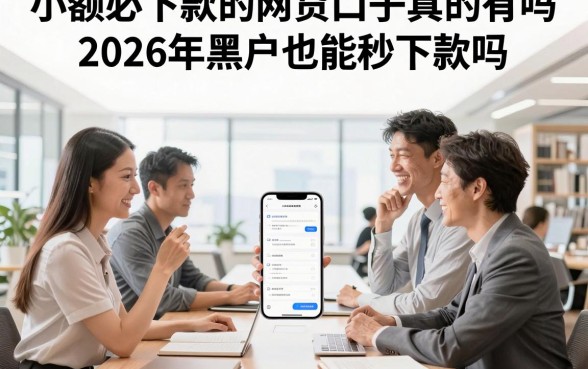 小额必下款的网贷口子真的有吗,2026年黑户也能秒下款吗