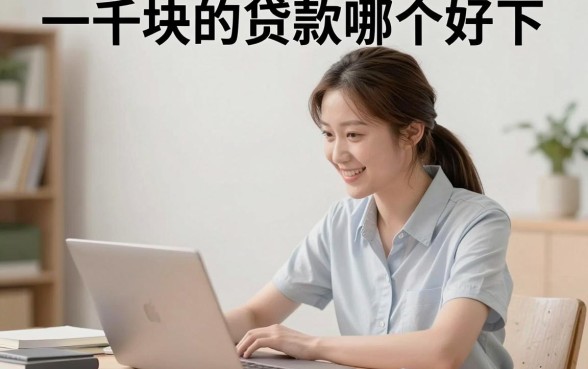 一千块的贷款哪个好下，小额贷款哪个平台容易通过