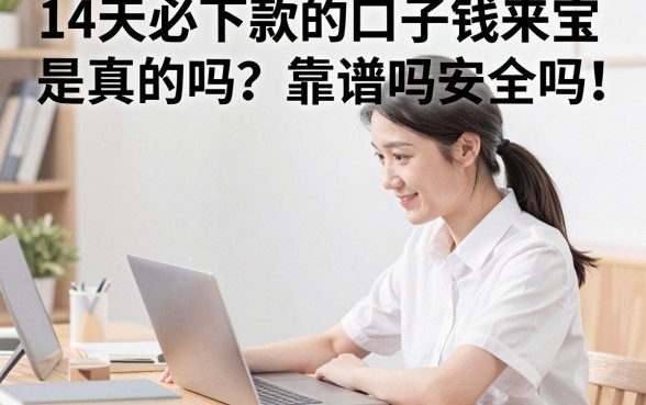 14天必下款的口子钱来宝是真的吗?靠谱吗安全吗