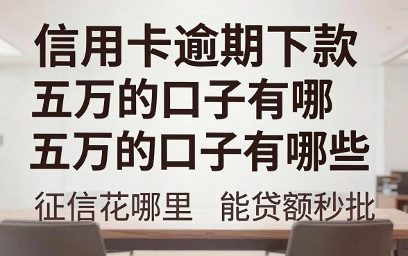 信用卡逾期下款五万的口子有哪些,征信花哪里能贷到大额秒批?