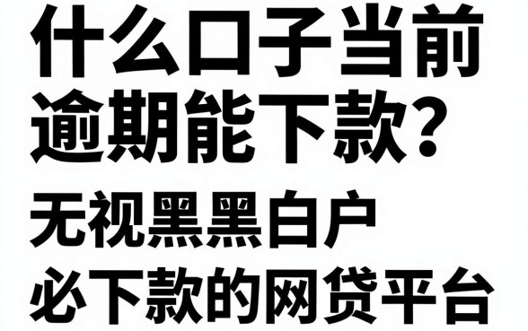 什么口子当前逾期能下款?盘点无视黑白户必下款的网贷平台