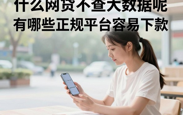 什么网贷不查大数据呢，有哪些正规平台容易下款