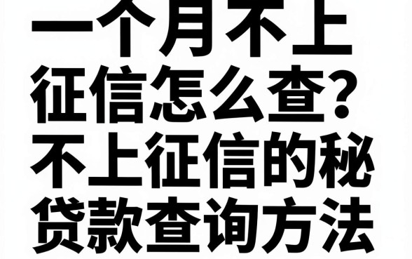 一个月不上征信怎么查？揭秘不上征信的贷款查询方法