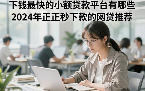 下钱最快的小额贷款平台有哪些，2024年正规秒下款的网贷推荐