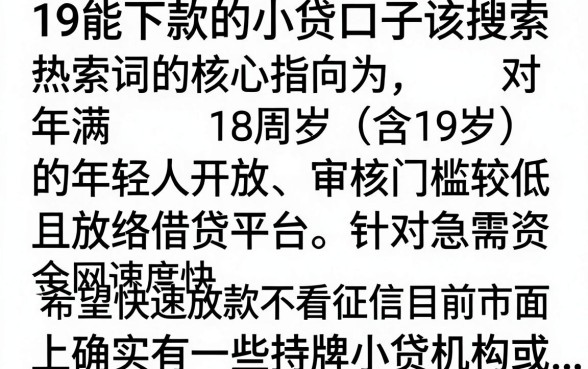 19能下款的小贷口子有哪些，2024年还在下款的正规平台推荐