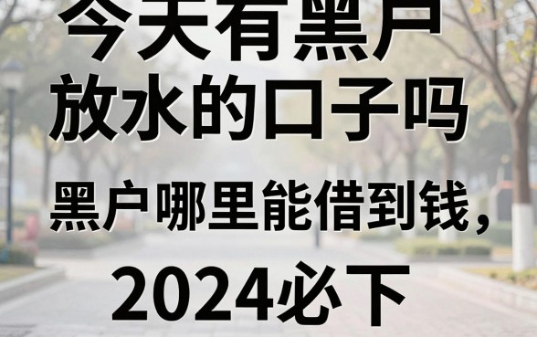 今天有黑户放水的口子吗，黑户哪里能借到钱2024必下
