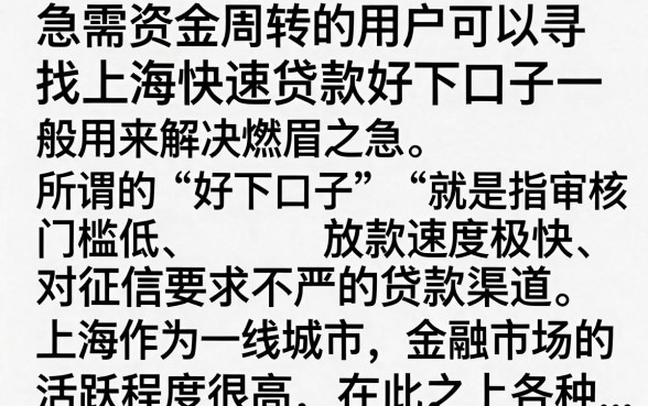 上海急速贷款好下的口子有哪些？2024年靠谱容易下款的贷款平台推荐