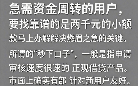 两千小额借款秒下口子真的有吗,哪里可以快速借到两千块钱
