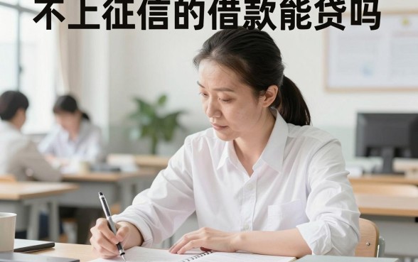 不上征信的借款能贷吗,不上征信的贷款有什么风险