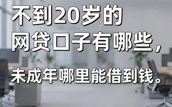 不到20岁的网贷口子有哪些，未成年哪里能借到钱
