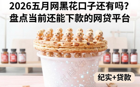 2026五月网黑花口子还有吗?盘点当前还能下款的网贷平台