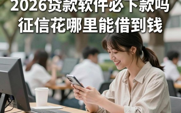 2026贷款软件必下款吗，征信花哪里能借到钱