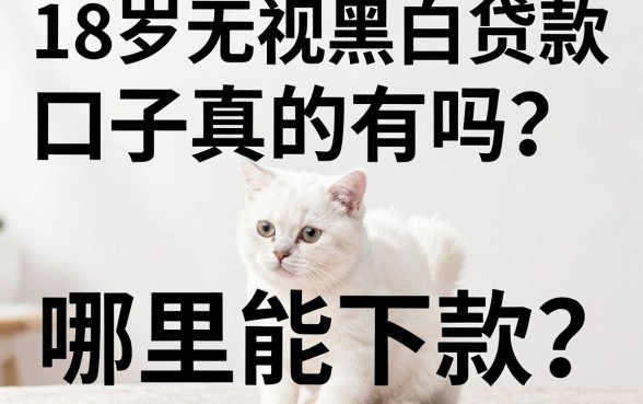 18岁无视黑白贷款口子真的有吗？哪里能下款？