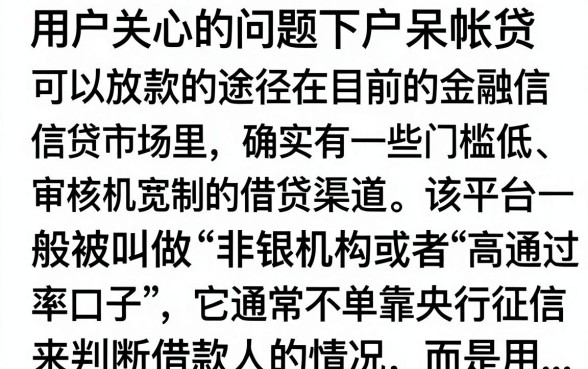 下户呆帐贷能下款的口子有哪些，呆账户哪里可以贷款成功