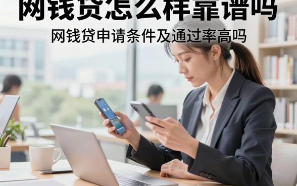 网钱贷怎么样靠谱吗，网钱贷申请条件及通过率高吗