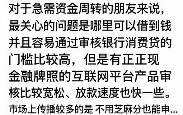 从哪里借贷款容易通过,2024年正规网贷平台哪个好下款