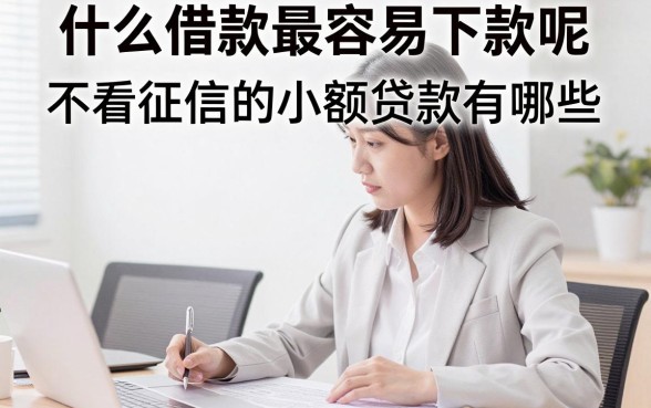 什么借款最容易下款呢，不看征信的小额贷款有哪些