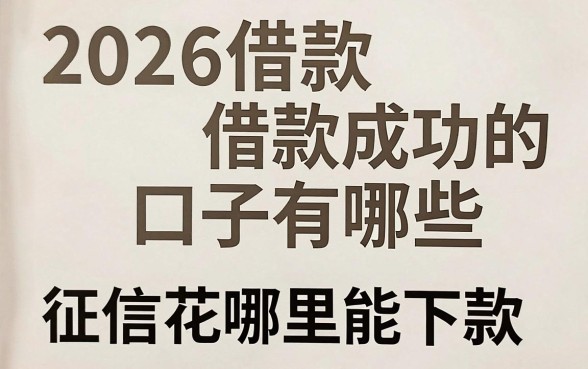 2026借款成功的口子有哪些，征信花哪里能下款