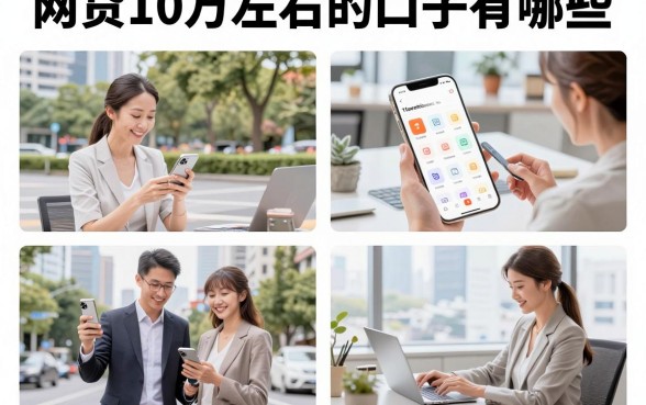 网贷10万左右的口子有哪些，征信花能下款的正规平台推荐