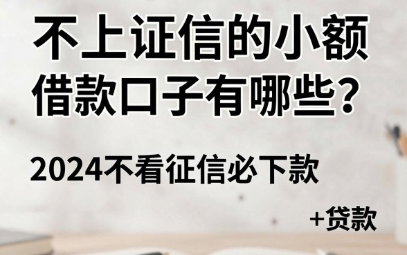 不上证信的小额借款口子有哪些？2024不看征信必下款推荐
