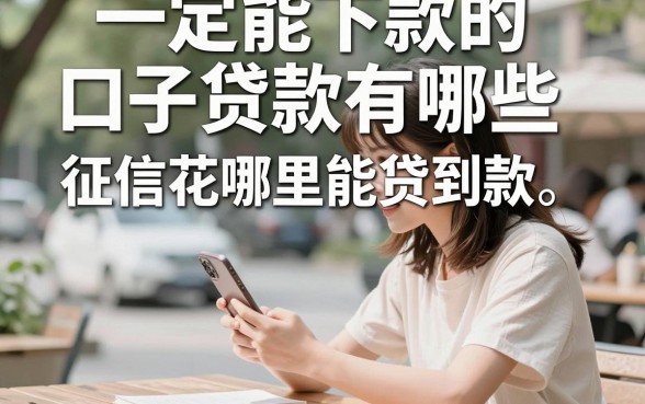 一定能下款的口子贷款有哪些,征信花哪里能贷到款