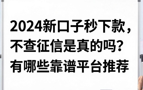 2024新口子秒下款不查征信是真的吗?有哪些靠谱平台推荐?