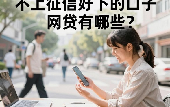 不上征信好下的口子网贷有哪些？盘点2024年不看征信必下的口子