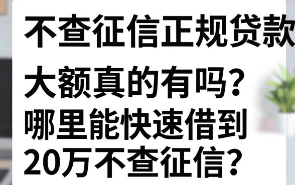 不查征信正规贷款大额真的有吗？哪里能快速借到20万不查征信？
