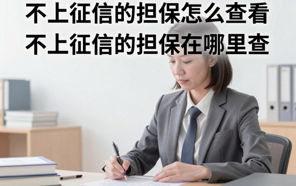 不上征信的担保怎么查看?不上征信的担保在哪里查