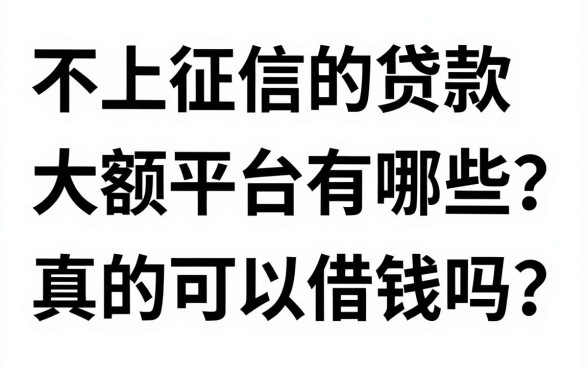 不上征信的贷款大额平台有哪些？真的可以借钱吗？