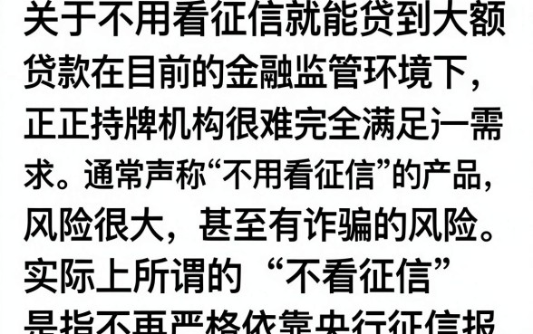 不看征信秒下得大额贷款是真的吗,哪里有不看征信的大额贷款平台