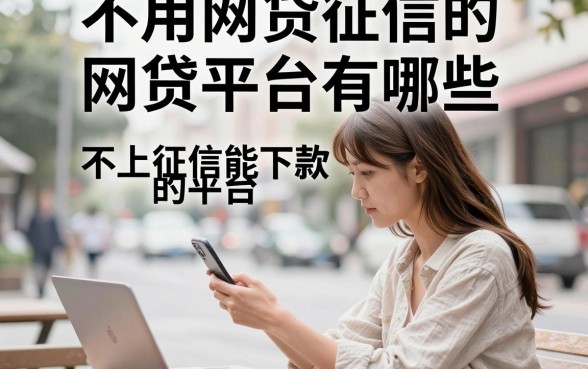 不用网贷征信的网贷平台有哪些,不上征信能下款的平台推荐