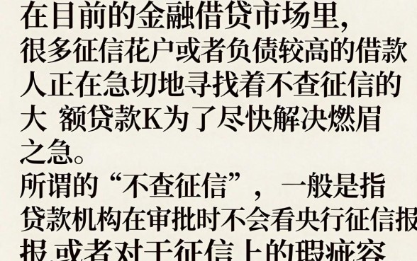不查征信的大额贷款k哪里有?正规平台哪个容易通过?