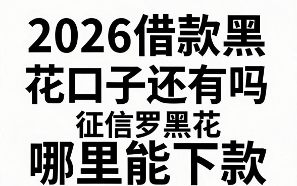 2026借款黑花口子还有吗,征信黑花哪里能下款