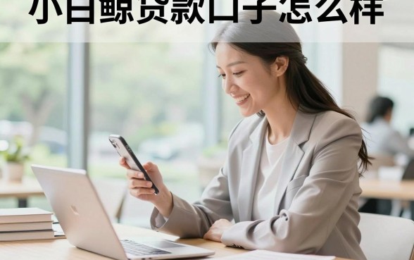 小白鲸贷款口子怎么样，小白鲸贷款口子好下款吗